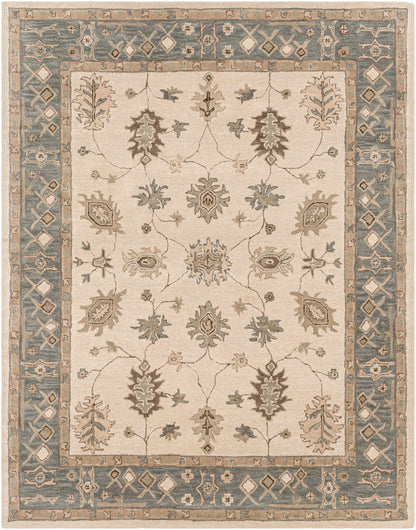 Middleton AWHR-2050 Hand Tufted Rug