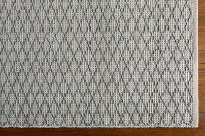 Modena MOE-1003 Hand Woven Rug