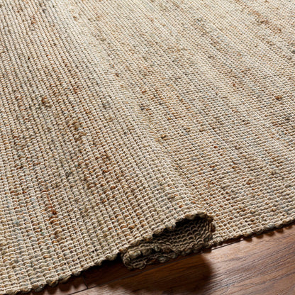 Demi DEM-2301 Hand Woven Rug