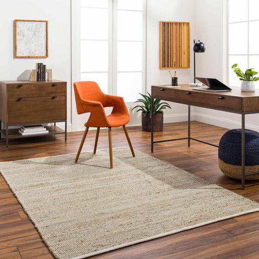 Demi DEM-2301 Hand Woven Rug