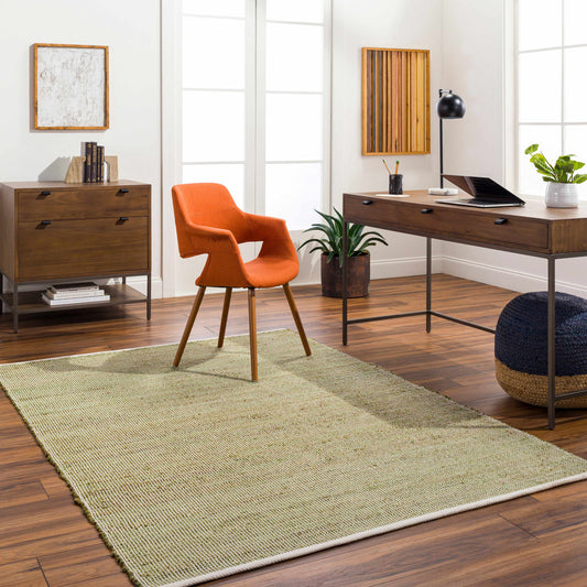 Demi DEM-2303 Hand Woven Rug