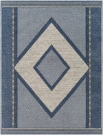 Delphi DEP-2302 Machine Woven Rug