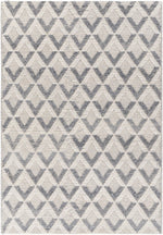 Daffodil DFF-2304 Hand Woven Rug