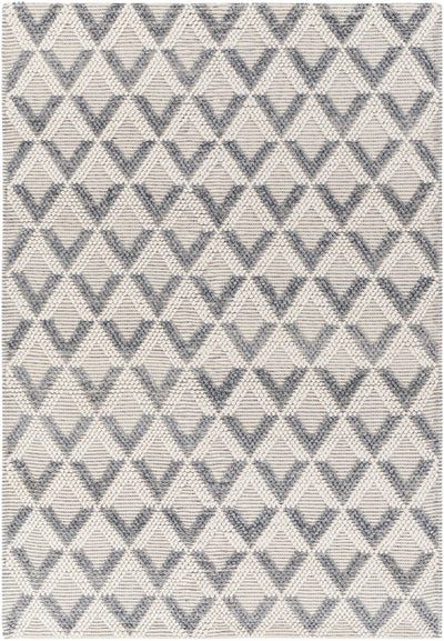 Beige Hand Woven 100% Recycled PET Yarn Global Rectangle Handmade rug, Indoor use only, no fringe, non-washable. runner also available