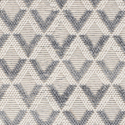 Daffodil DFF-2304 Hand Woven Rug