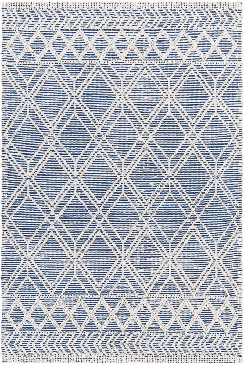Beige Hand Woven 100% Recycled PET Yarn Global Rectangle Handmade rug, Indoor use only, no fringe, non-washable. runner also available