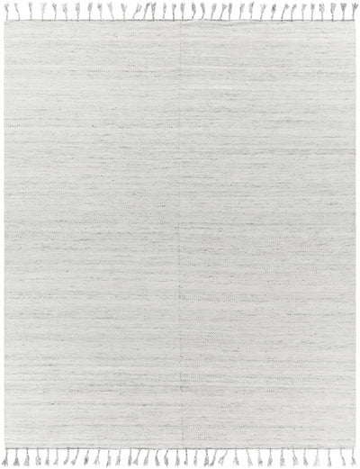 Beige Hand Woven 100% Recycled PET Yarn Cottage Rectangle Handmade rug, Indoor use only, has fringe, non-washable.
