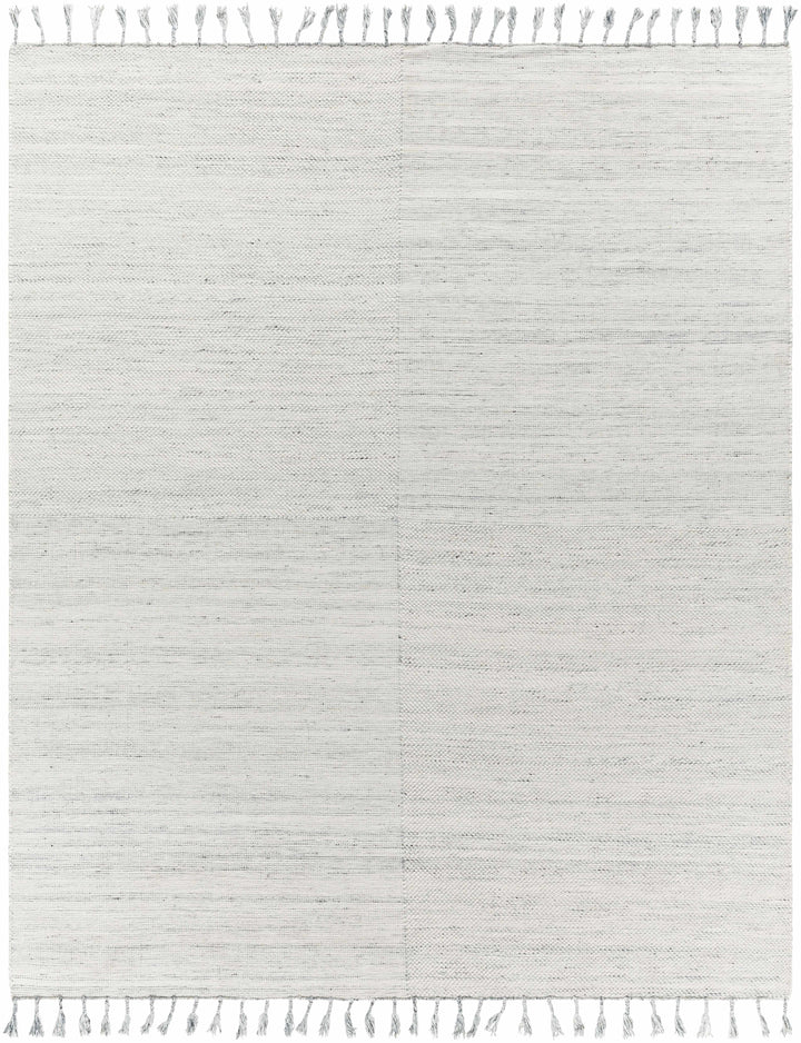Beige Hand Woven 100% Recycled PET Yarn Cottage Rectangle Handmade rug, Indoor use only, has fringe, non-washable.