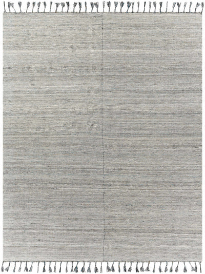 Beige Hand Woven 100% Recycled PET Yarn Cottage Rectangle Handmade rug, Indoor use only, has fringe, non-washable.