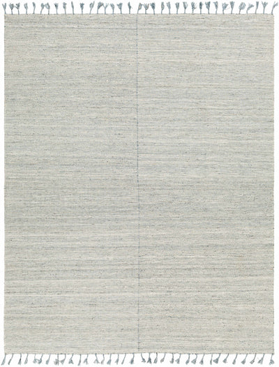Beige Hand Woven 100% Recycled PET Yarn Cottage Rectangle Handmade rug, Indoor use only, has fringe, non-washable.