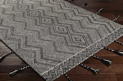 Zanafi Tassels ZTS-2308 Hand Tufted Rug