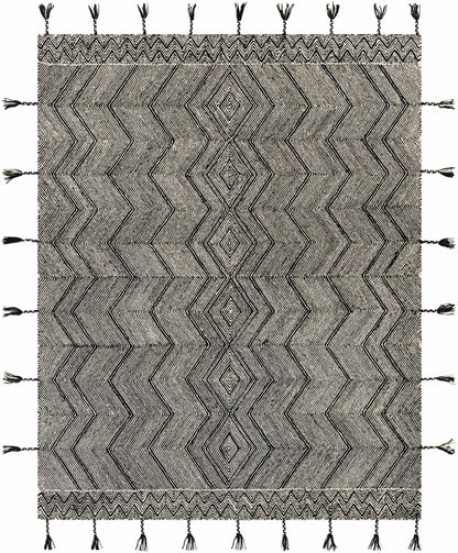 Zanafi Tassels ZTS-2308 Hand Tufted Rug