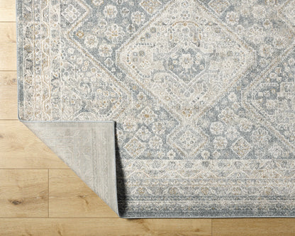 Alpharetta APH-2312 Machine Woven Rug