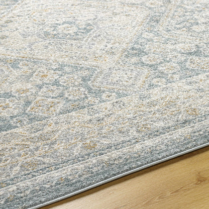 Alpharetta APH-2312 Machine Woven Rug
