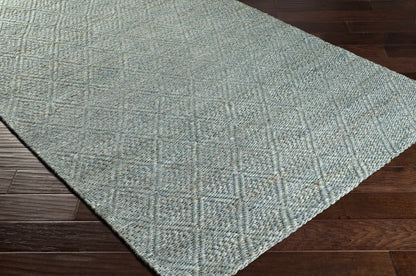 Trace TCE-2302 Hand Woven Rug