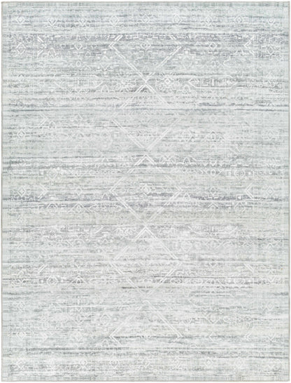 Hera HRH-2302 Machine Woven Rug
