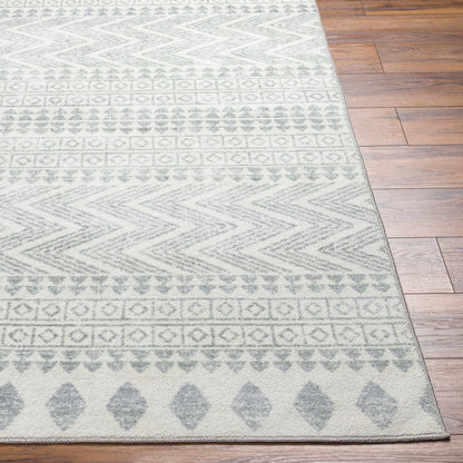 Hera HRH-2300 Machine Woven Rug