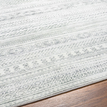 Hera HRH-2303 Machine Woven Rug