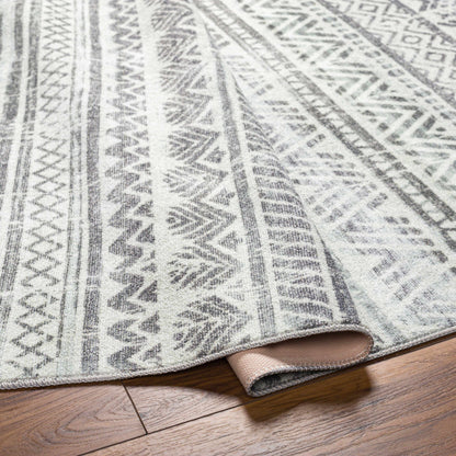 Hera HRH-2301 Machine Woven Rug