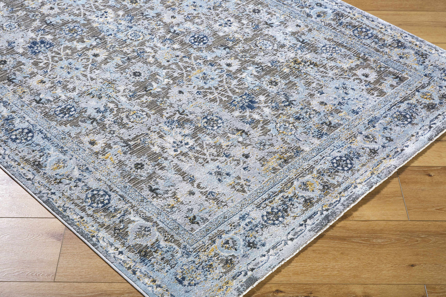 Hassler HSL-2301 Machine Woven Rug