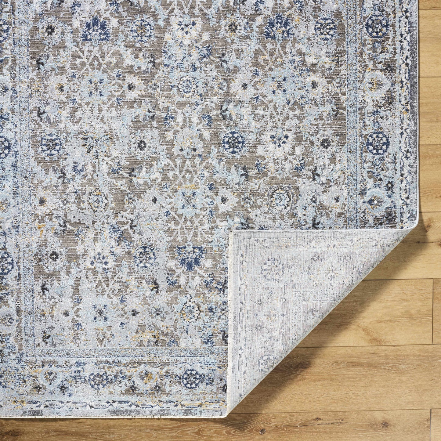 Hassler HSL-2301 Machine Woven Rug