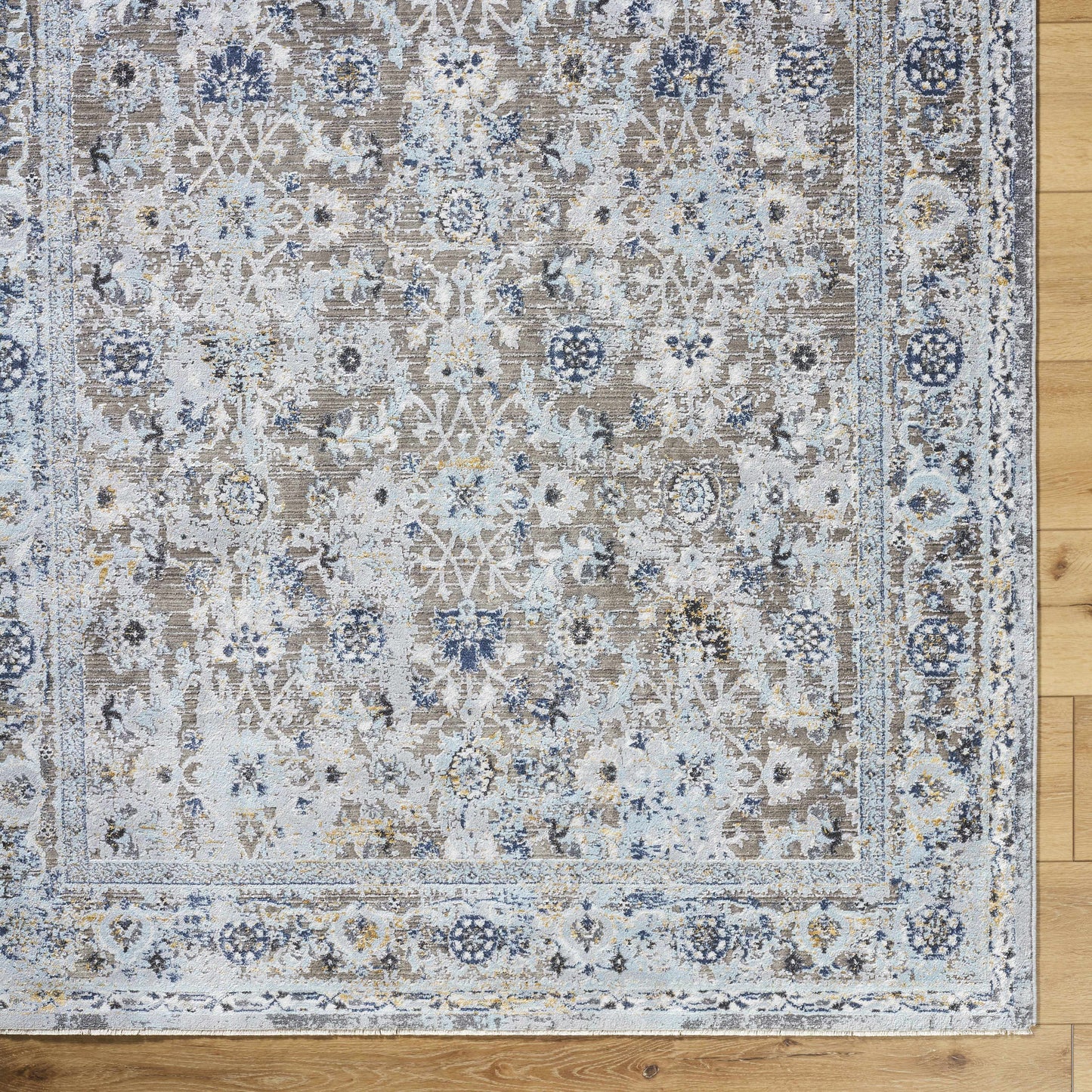 Hassler HSL-2301 Machine Woven Rug