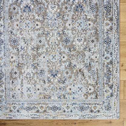 Hassler HSL-2301 Machine Woven Rug