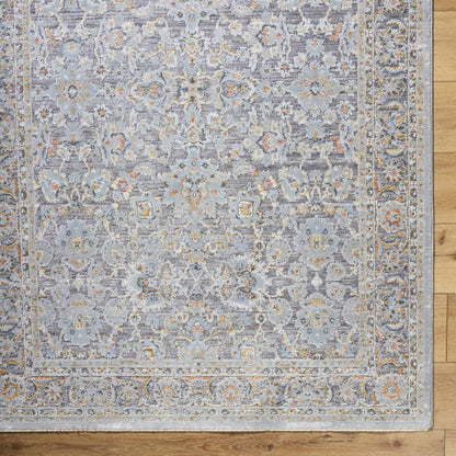 Hassler HSL-2304 Machine Woven Rug