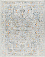 Hassler HSL-2306 Machine Woven Rug