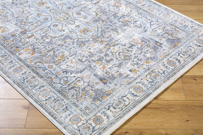 Hassler HSL-2306 Machine Woven Rug