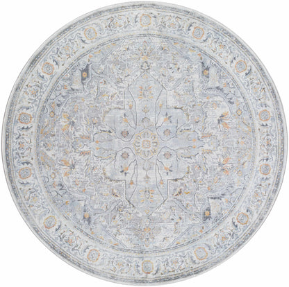 Hassler HSL-2306 Machine Woven Rug