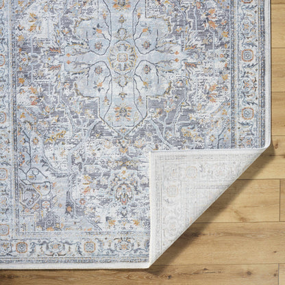 Hassler HSL-2306 Machine Woven Rug