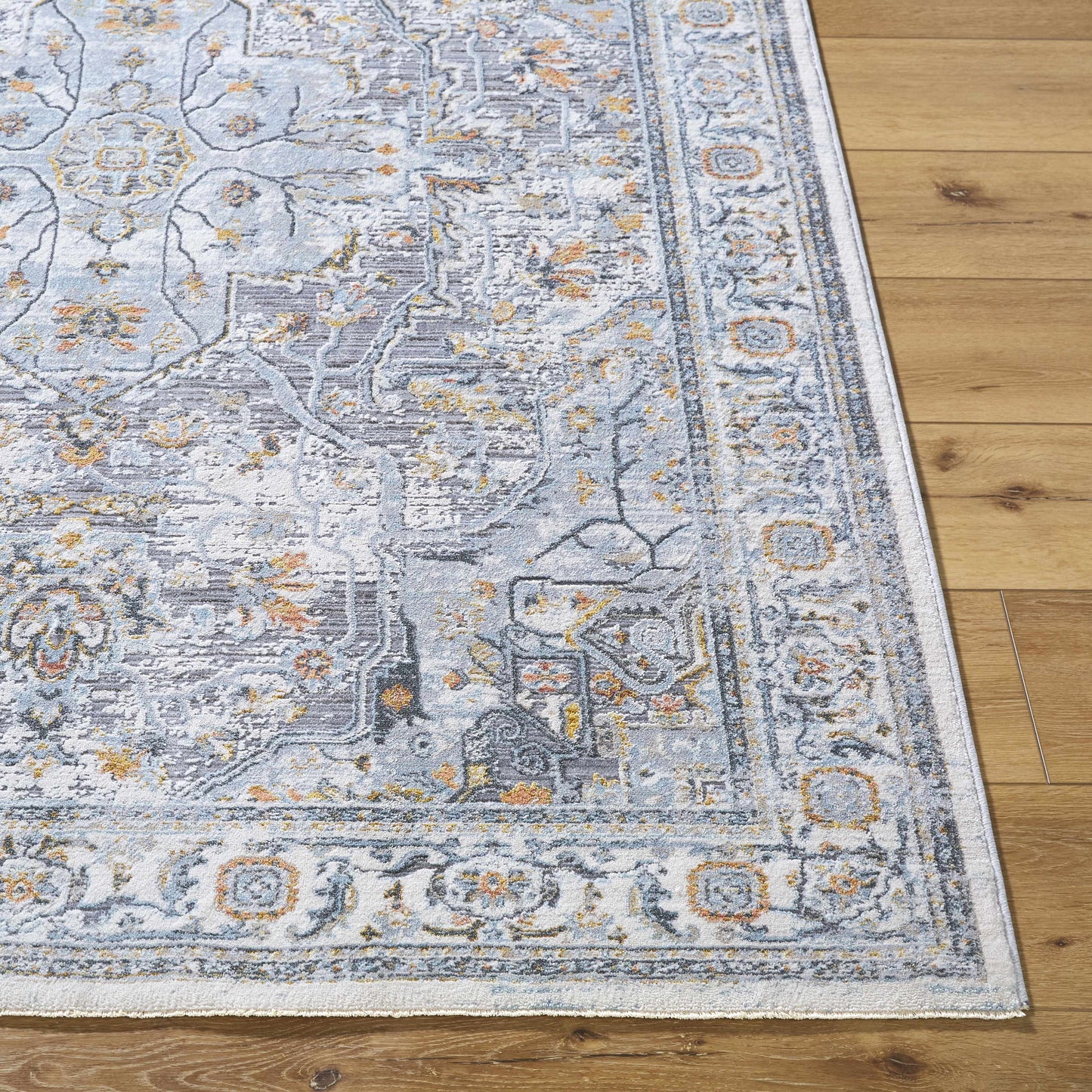 Hassler HSL-2306 Machine Woven Rug