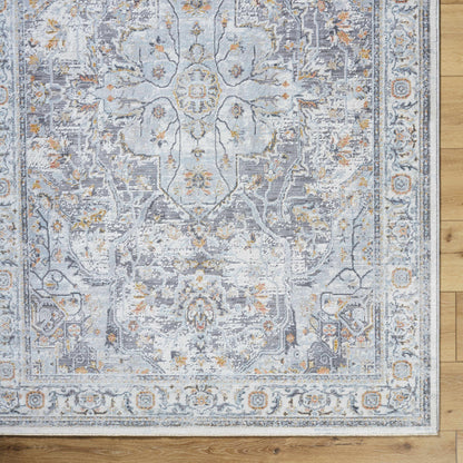 Hassler HSL-2306 Machine Woven Rug