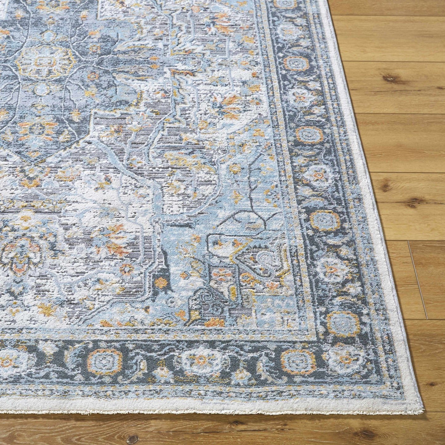 Hassler HSL-2307 Machine Woven Rug