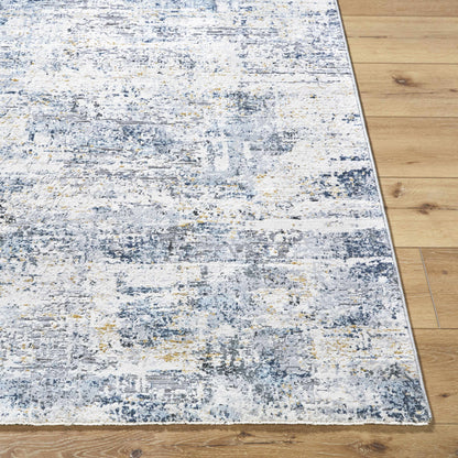 Hassler HSL-2309 Machine Woven Rug