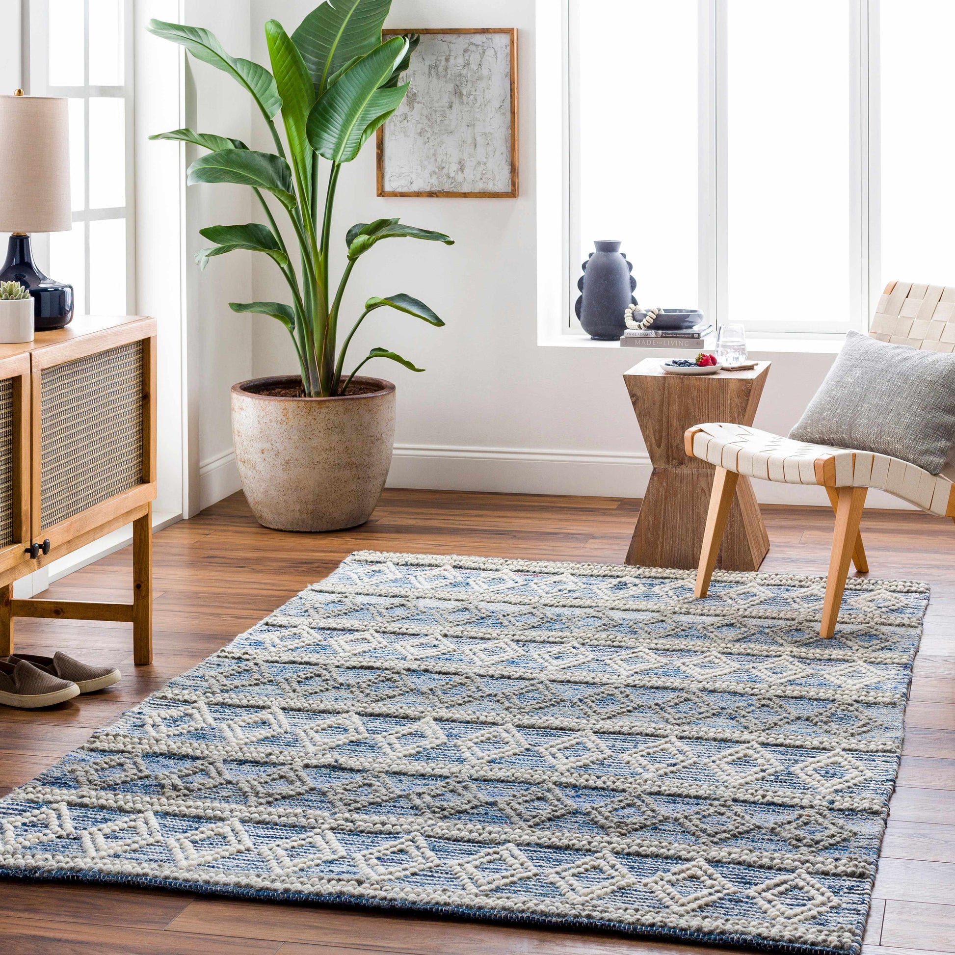 Nadine NDD-2300 Hand Woven Rug