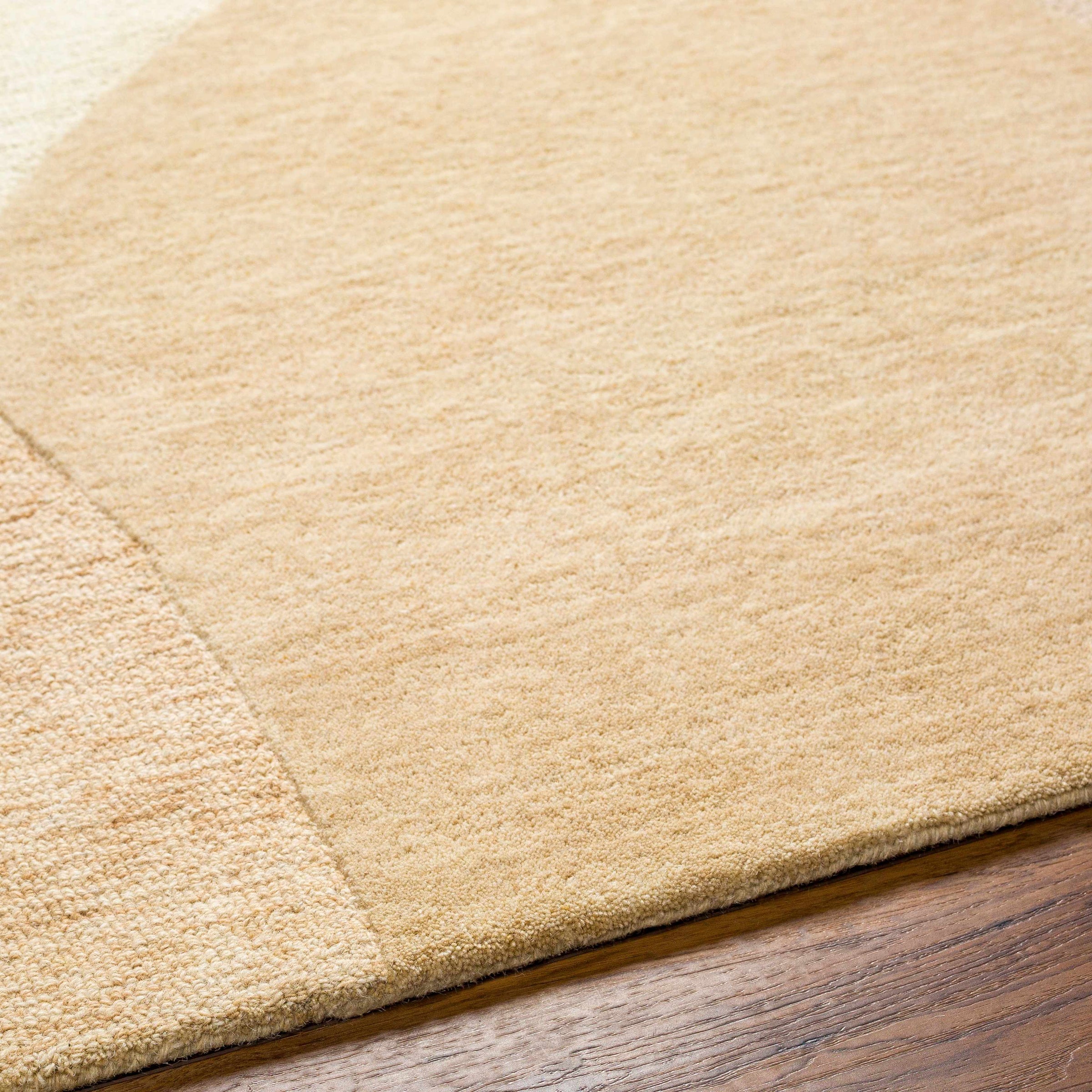 Isabel IBL-2301 Hand Tufted Rug