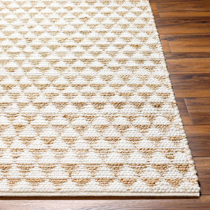 Jean JEA-2309 Hand Woven Rug