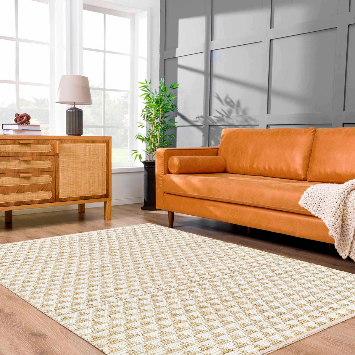 Jean JEA-2309 Hand Woven Rug
