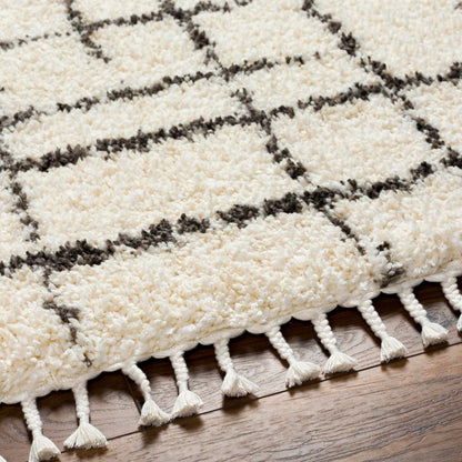 Jakarta JKT-2300 Machine Woven Rug