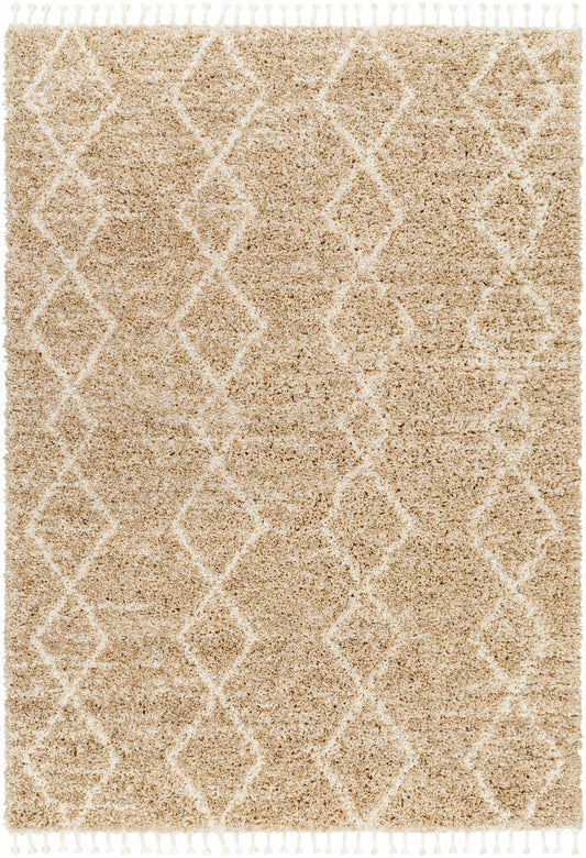 Jakarta JKT-2301 Machine Woven Rug