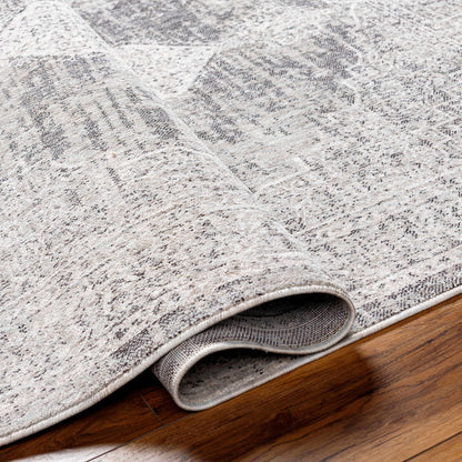 Juliet JLT-2305 Machine Woven Rug