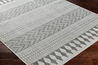Long Beach LBH-2321 Machine Woven Rug