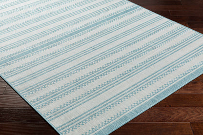 Long Beach LBH-2306 Machine Woven Rug