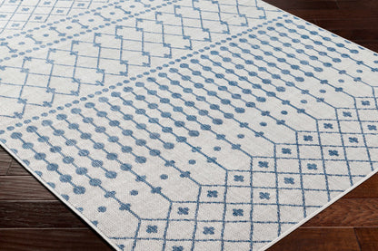 Long Beach LBH-2330 Machine Woven Rug