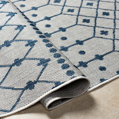 Long Beach LBH-2330 Machine Woven Rug