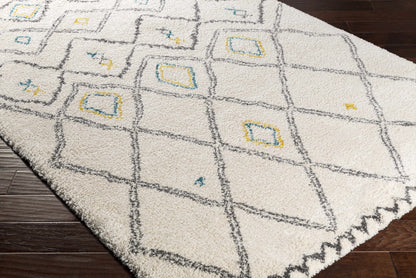 Wilder WDR-2006 Machine Woven Rug