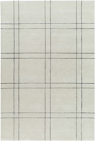 Beige Hand Tufted 100% Wool Modern Rectangle Handmade rug, Indoor use only, no fringe, non-washable.