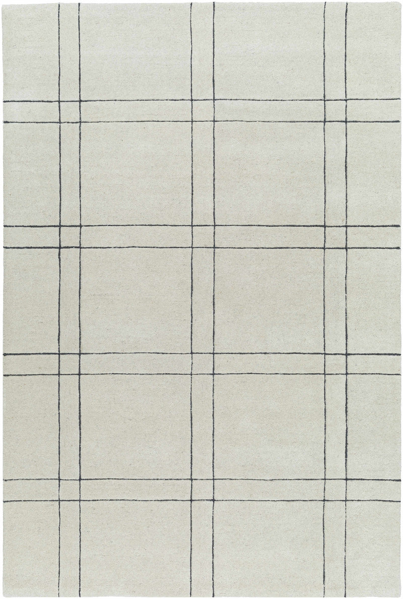 Beige Hand Tufted 100% Wool Modern Rectangle Handmade rug, Indoor use only, no fringe, non-washable.